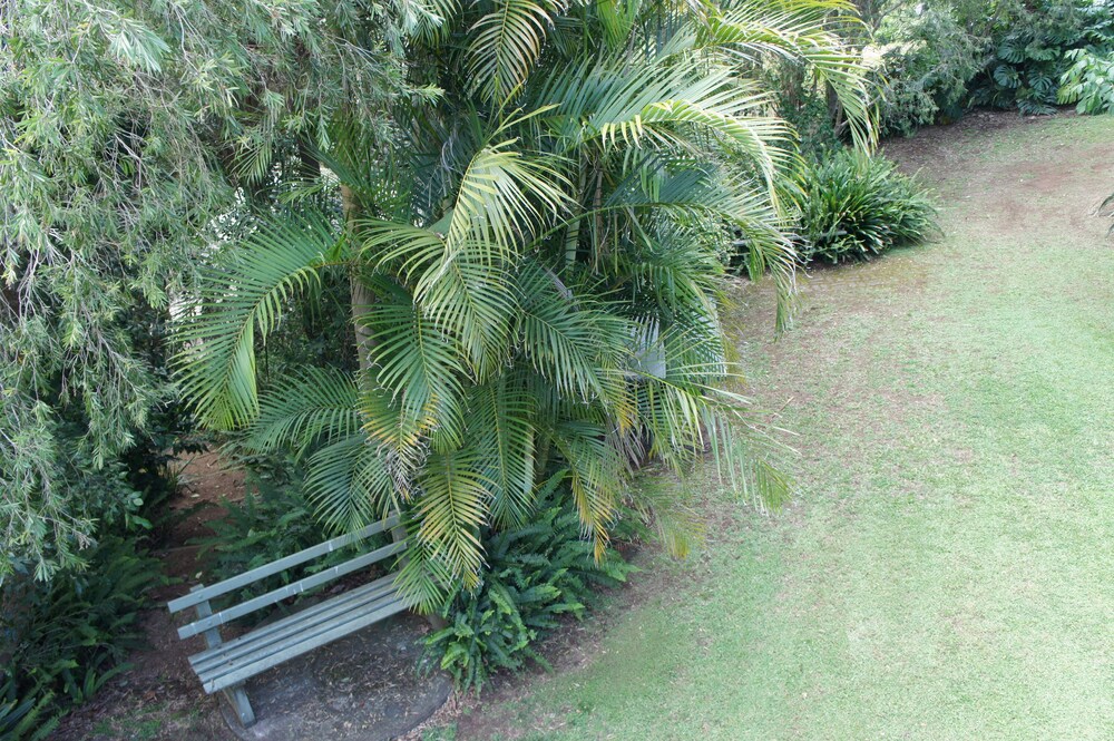 View from property, Bed & Breakfast at Kiama