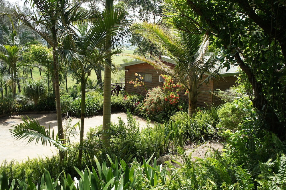 Garden, Bed & Breakfast at Kiama