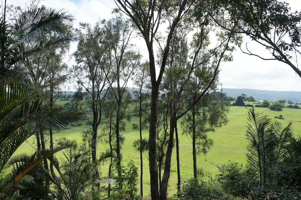 View from room, Bed & Breakfast at Kiama