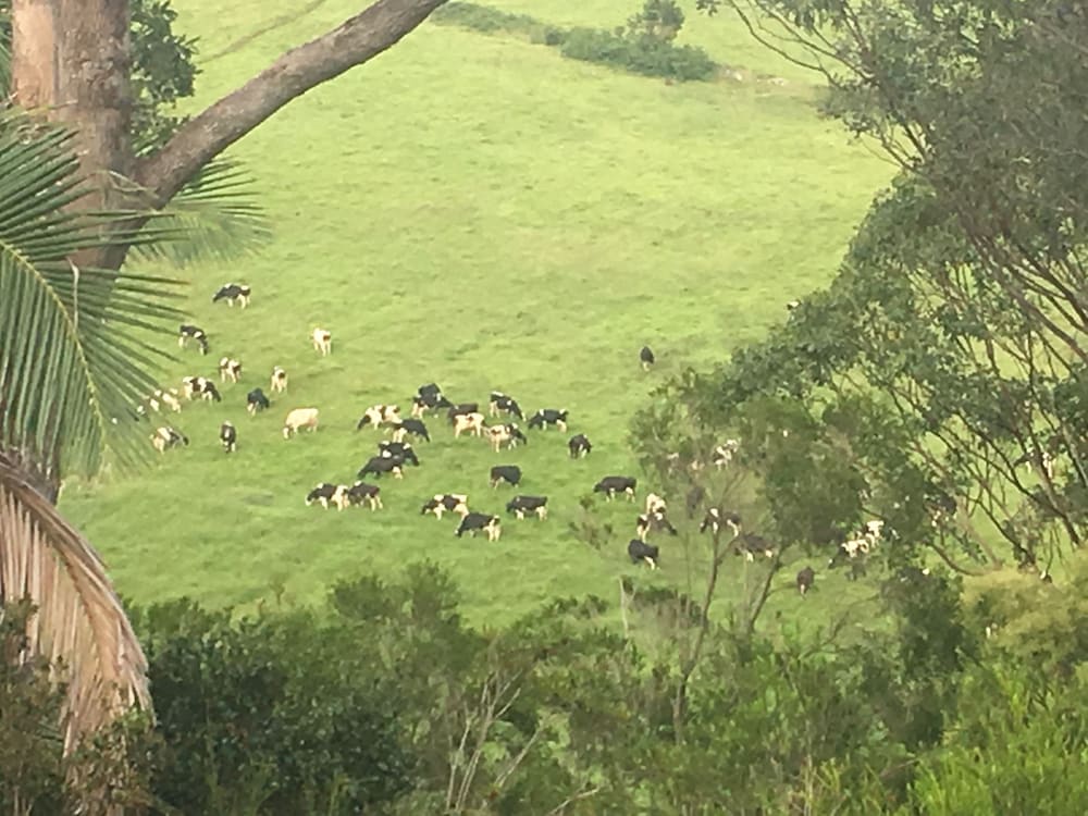 Bed & Breakfast at Kiama