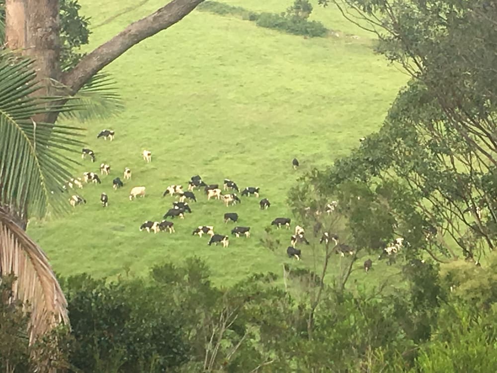 Valley view, Bed & Breakfast at Kiama