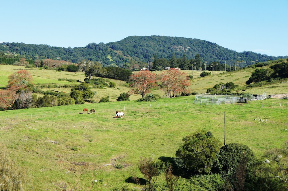 Mountain view, Bed & Breakfast at Kiama