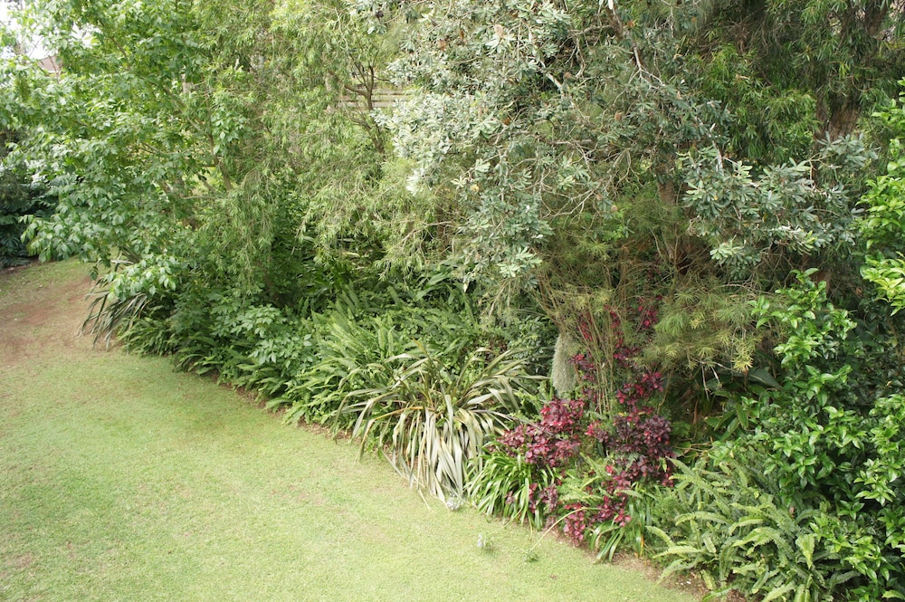 View from property, Bed & Breakfast at Kiama