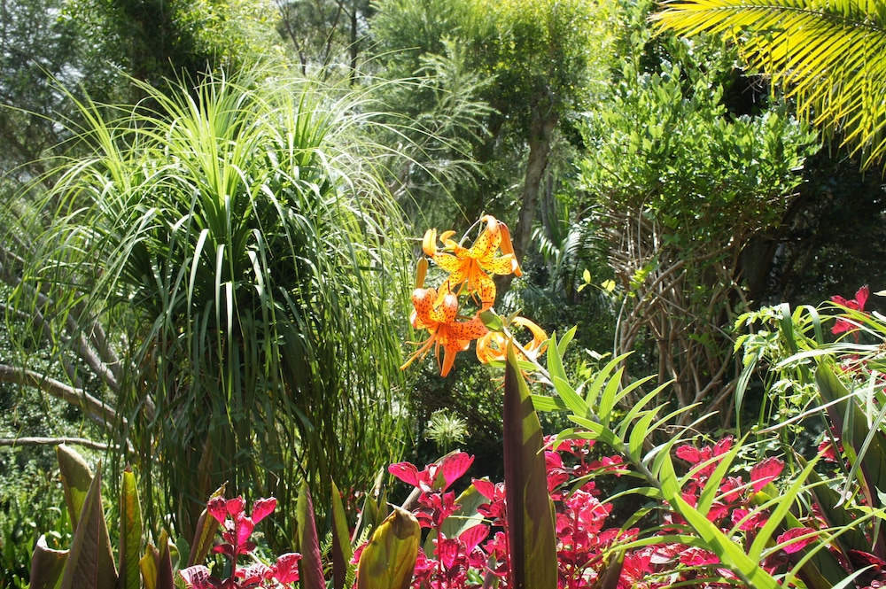 Bed & Breakfast at Kiama