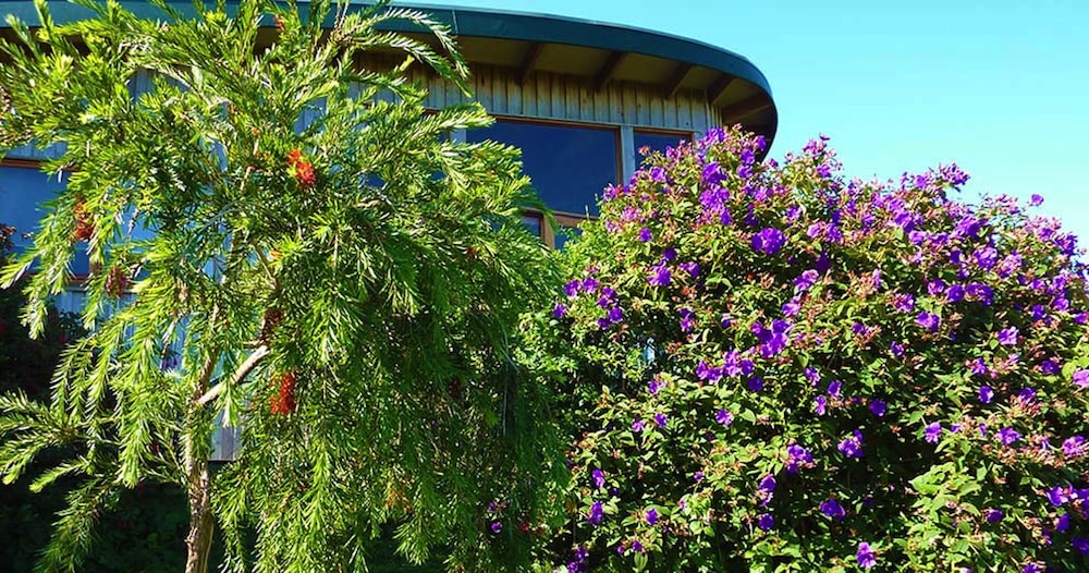 Exterior detail, The Boomerangs