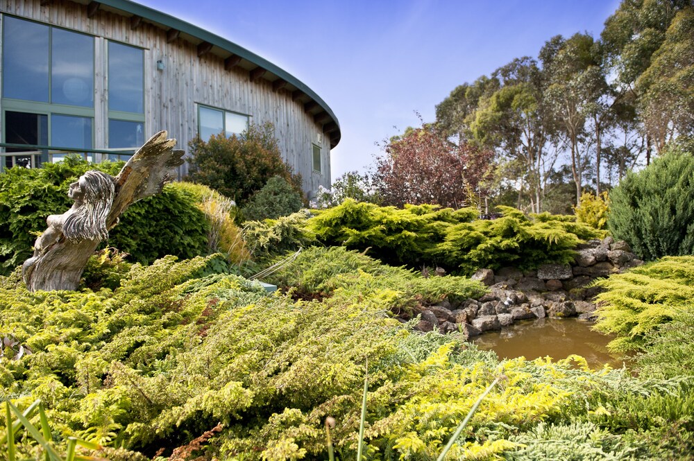 Garden view, The Boomerangs