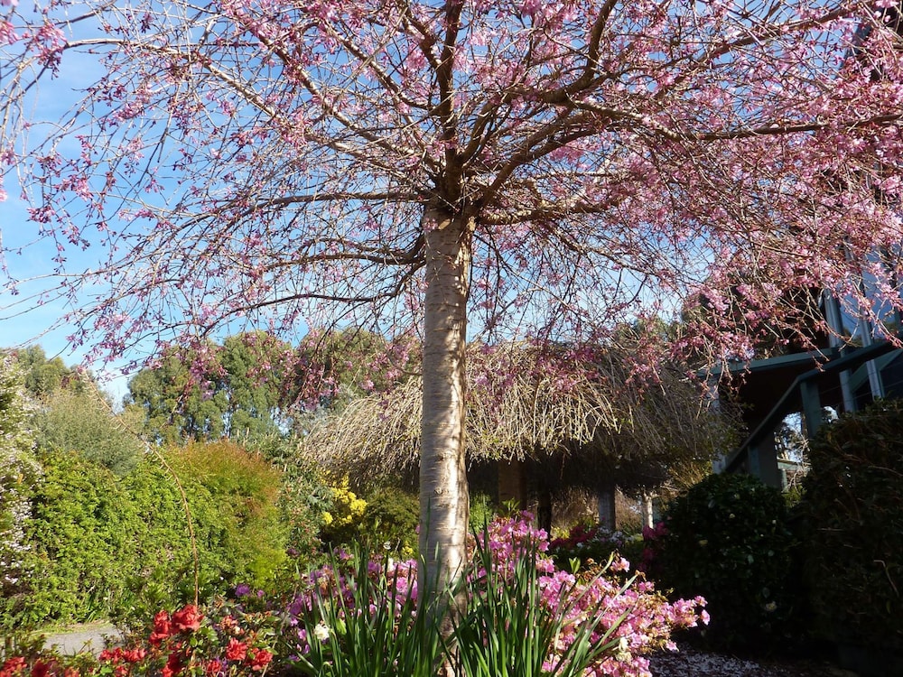 Garden view, The Boomerangs