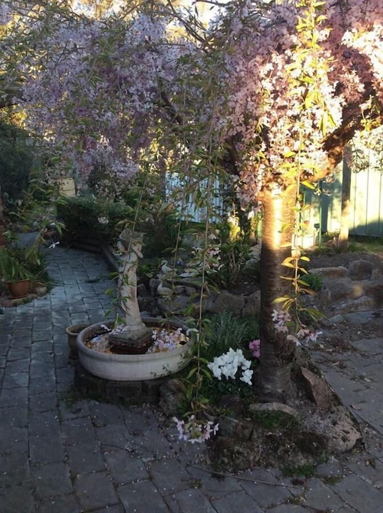 Beechworth Gorge Walk Guest House