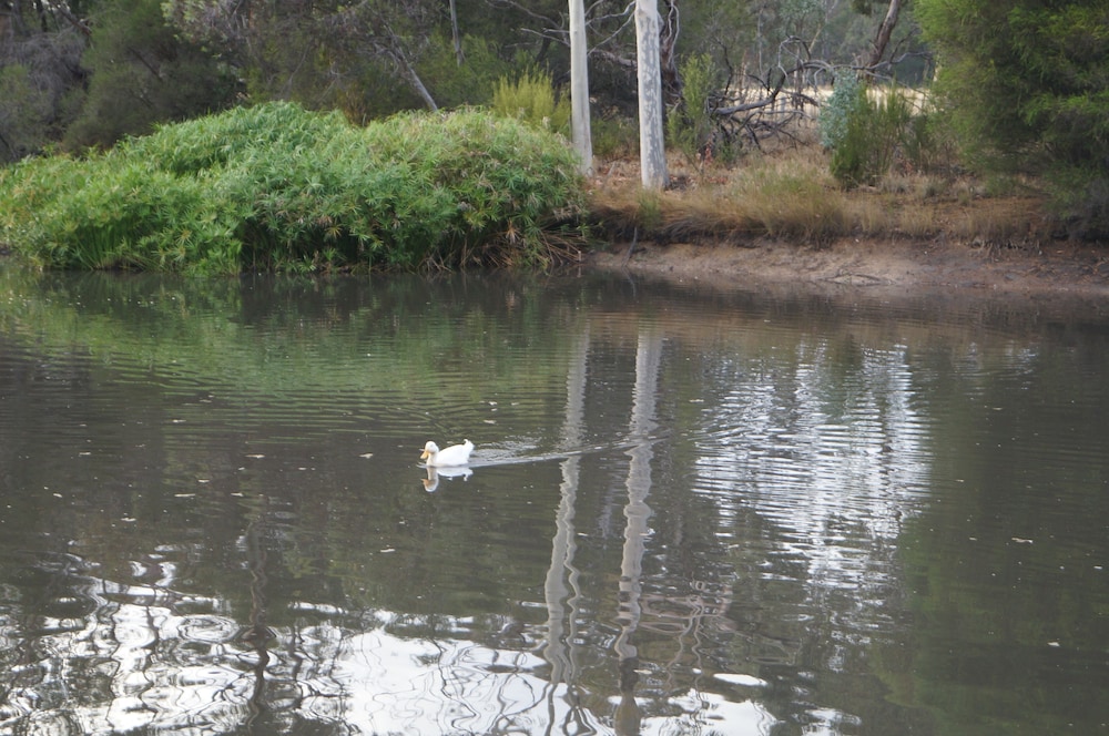 Lake, Magdala Motor Lodge & Lakeside Restaurant