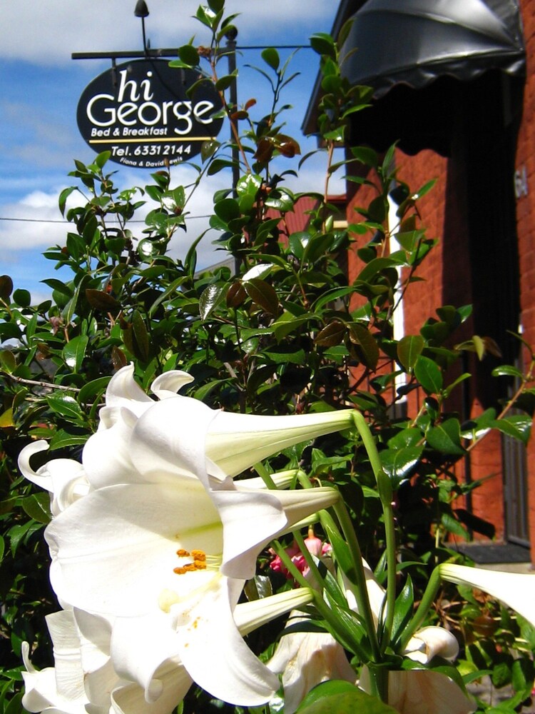 Hi George Bed & Breakfast