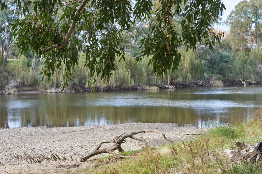 Gundagai Cabins & Tourist Park