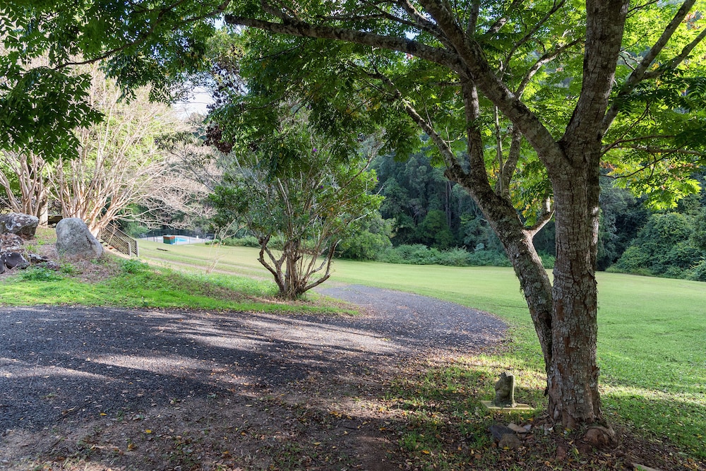 Mt Warning Forest Hideaway