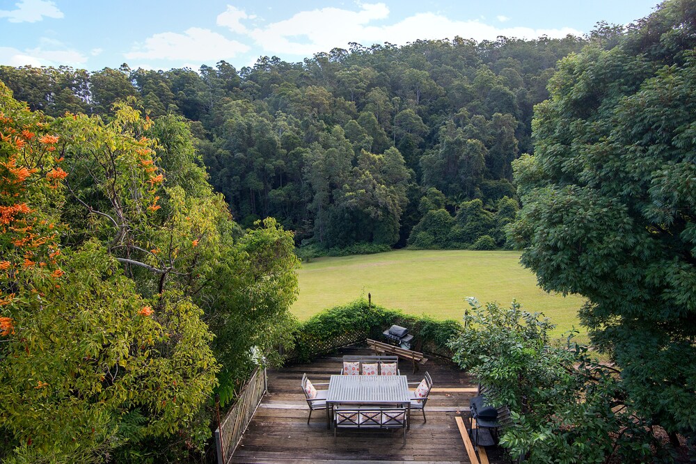 Mt Warning Forest Hideaway