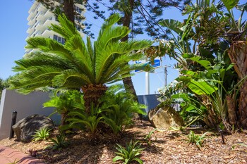 Carrington Court Deals Reviews Gold Coast Aus Wotif - 