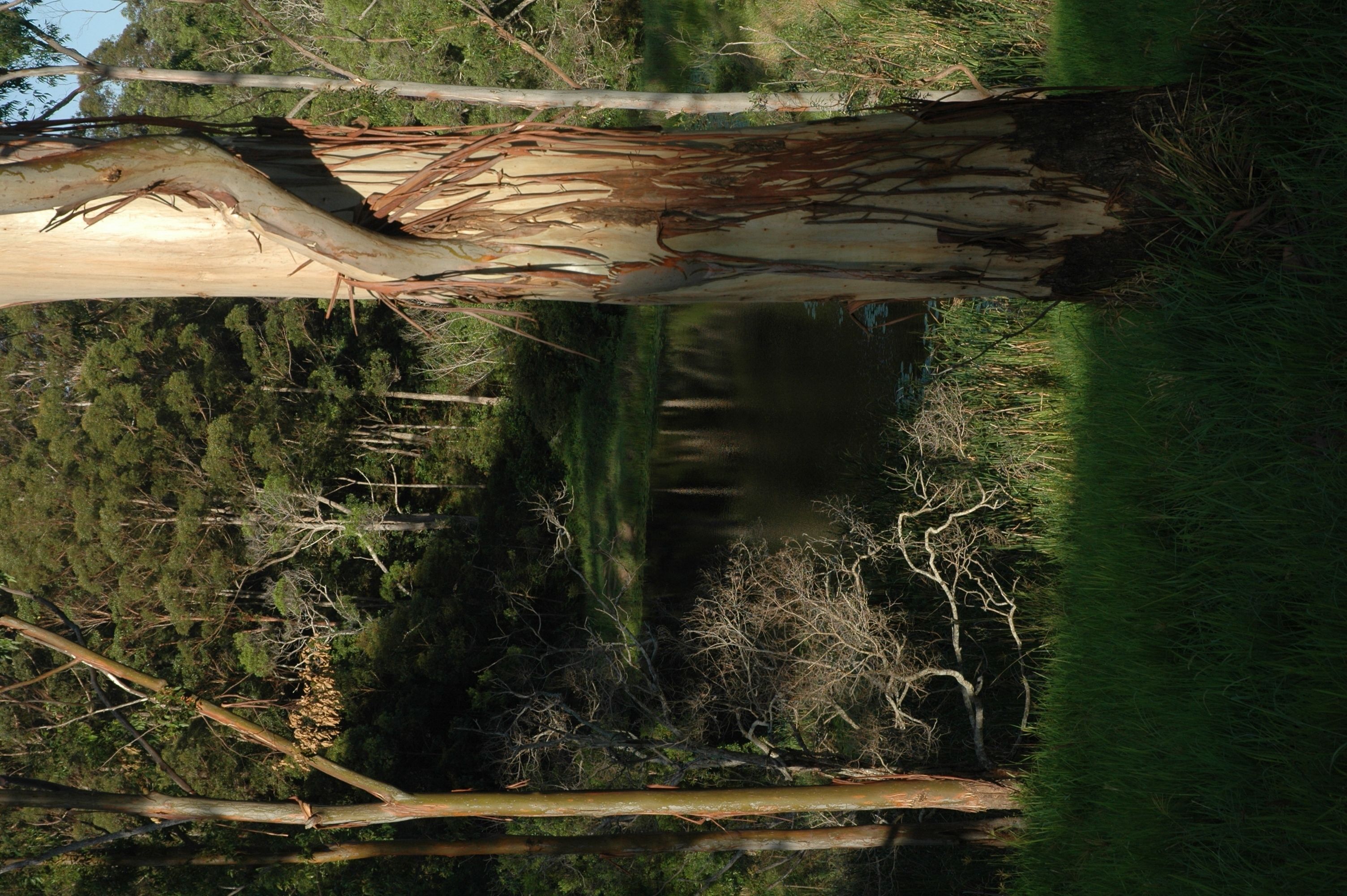 Whispering Valley Cottage Retreat