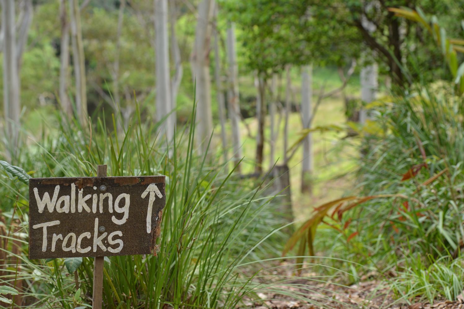 Whispering Valley Cottage Retreat