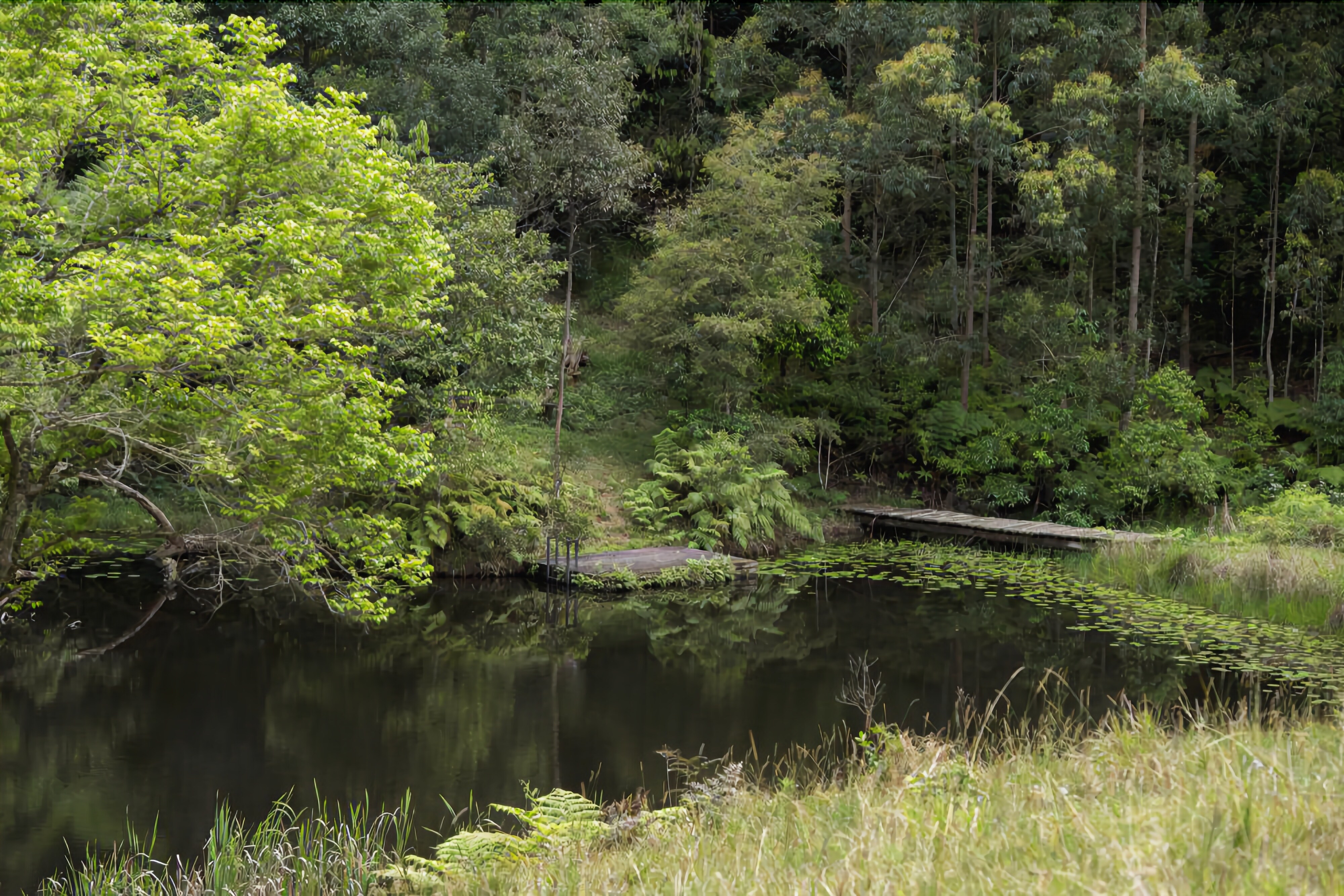 Whispering Valley Cottage Retreat