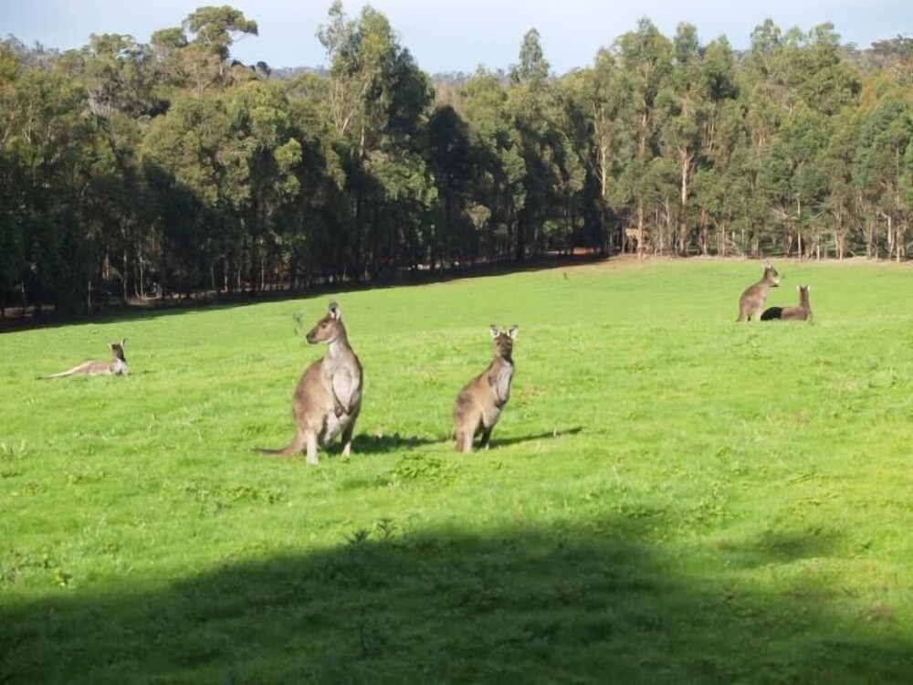 Karri Valley Chalets