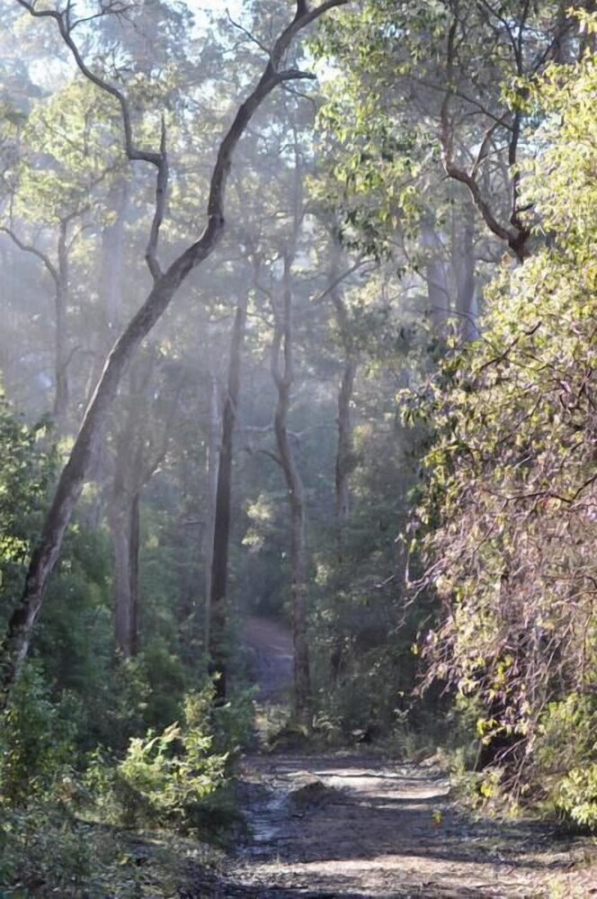 Karri Valley Chalets