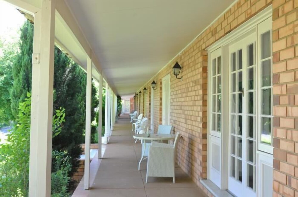 Poplars at Mittagong