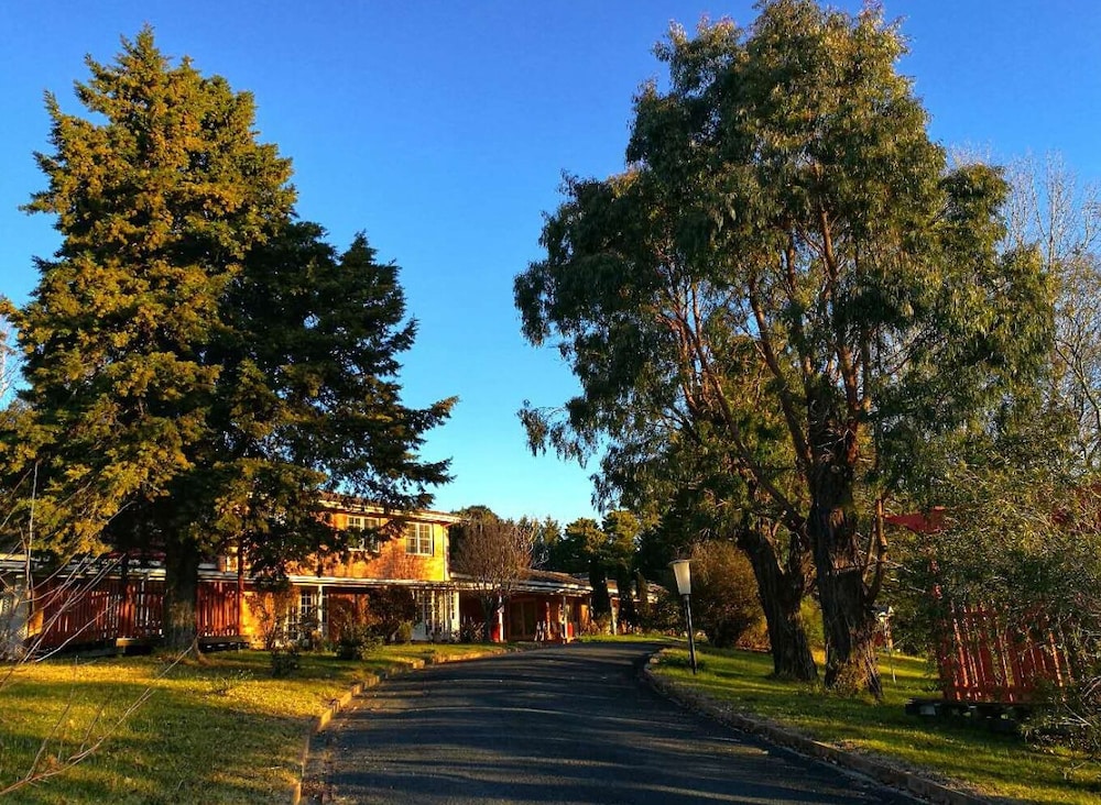 Poplars at Mittagong