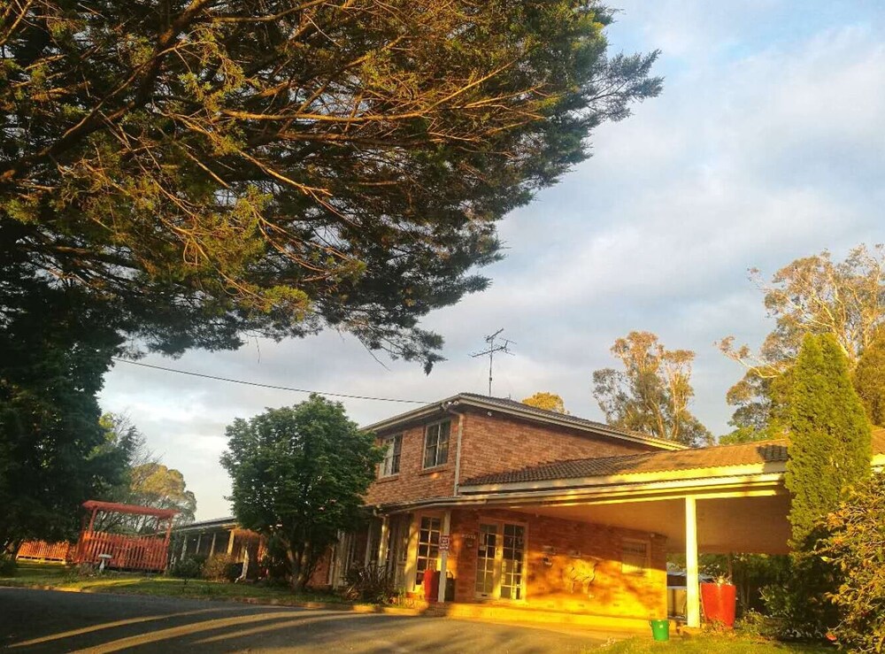 Poplars at Mittagong