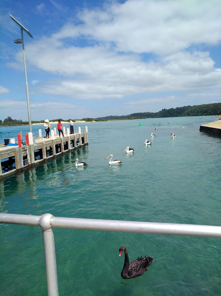 Abel Tasman Waterfront Motel