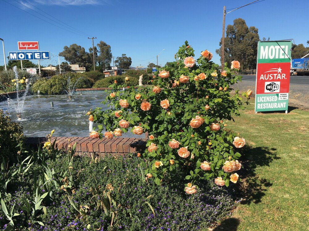 Byer Fountain Motor Inn, Holbrook
