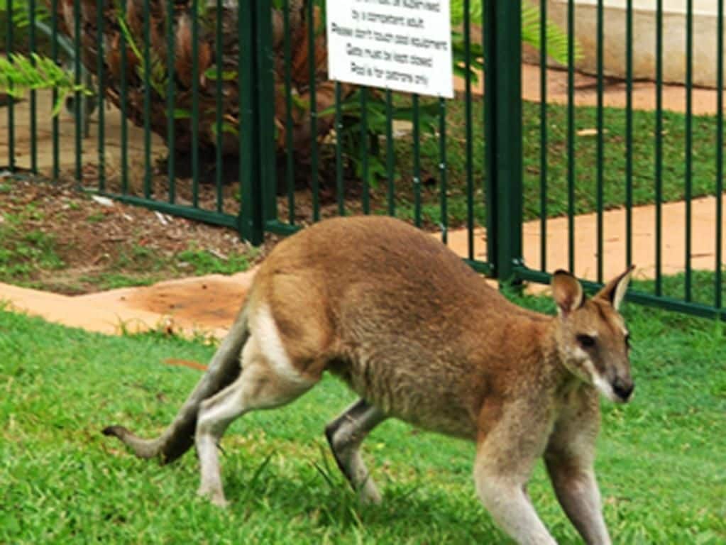 Villa Marine Holiday Apartments