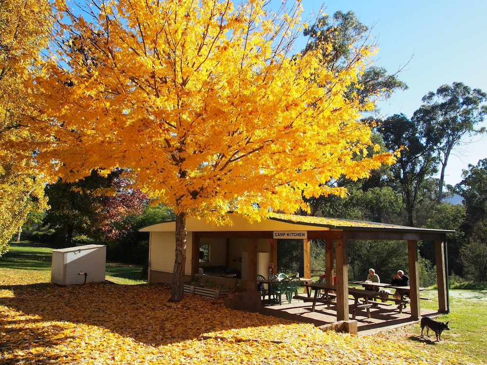 Porepunkah Pines Holiday Park