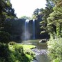 Whangarei Falls Holiday Park in Whangarei, New Zealand
