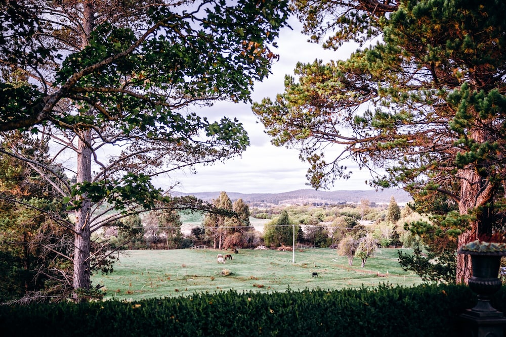 Hawthorn Villa Stables