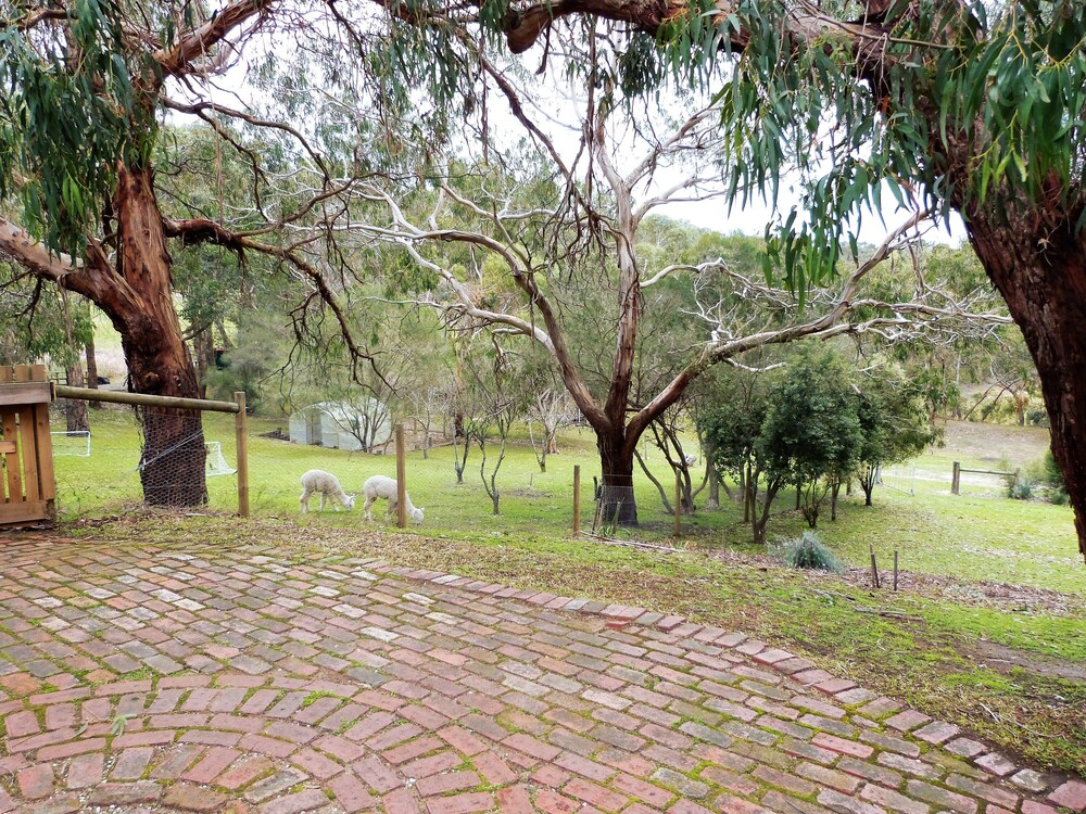 Bells Estate Great Ocean Road Cottages
