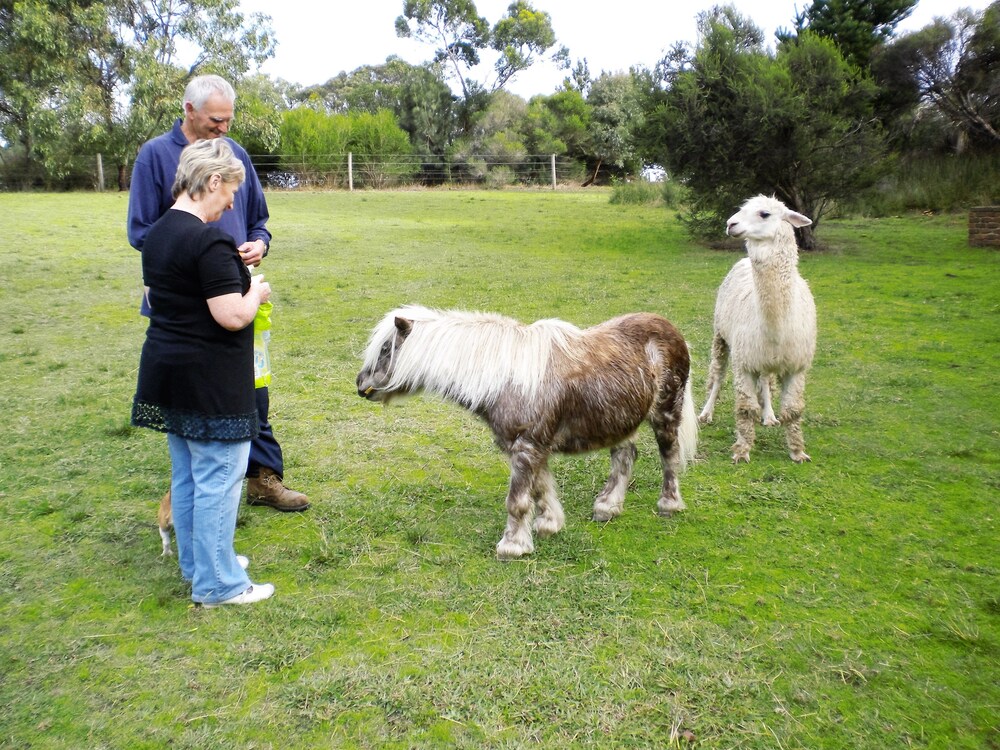 Bells Estate Great Ocean Road Cottages