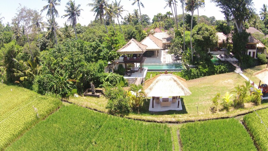 Tamu Seseh