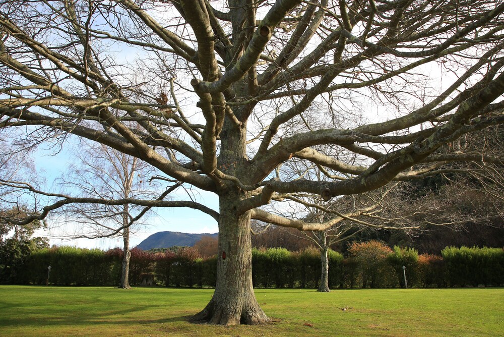 Parklands Marina Holiday Park Waikawa Nzl Lastminuteconz - 