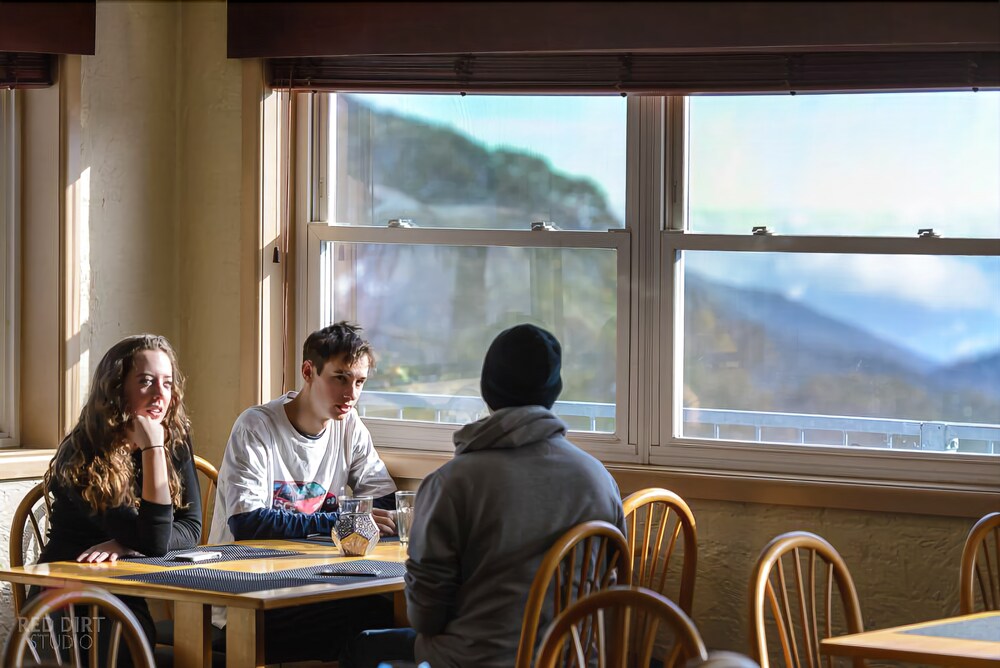 Attunga Alpine Lodge and Apartments
