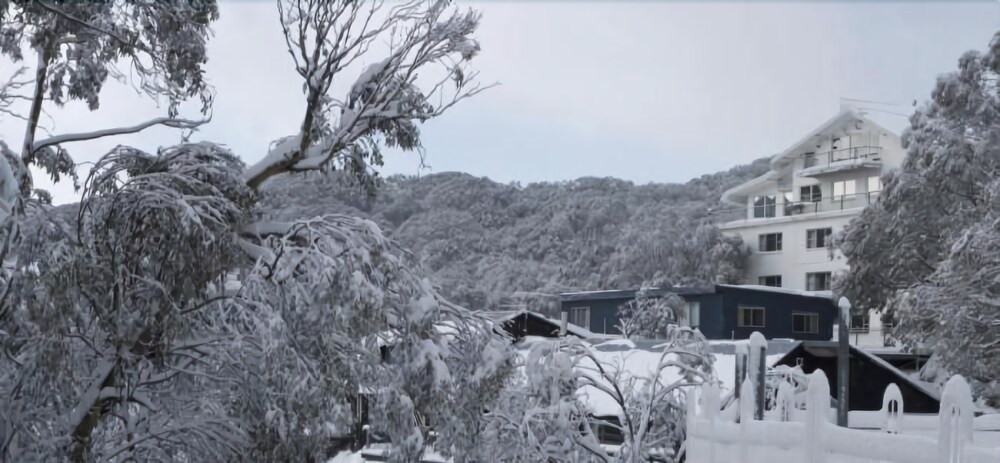 Attunga Alpine Lodge and Apartments