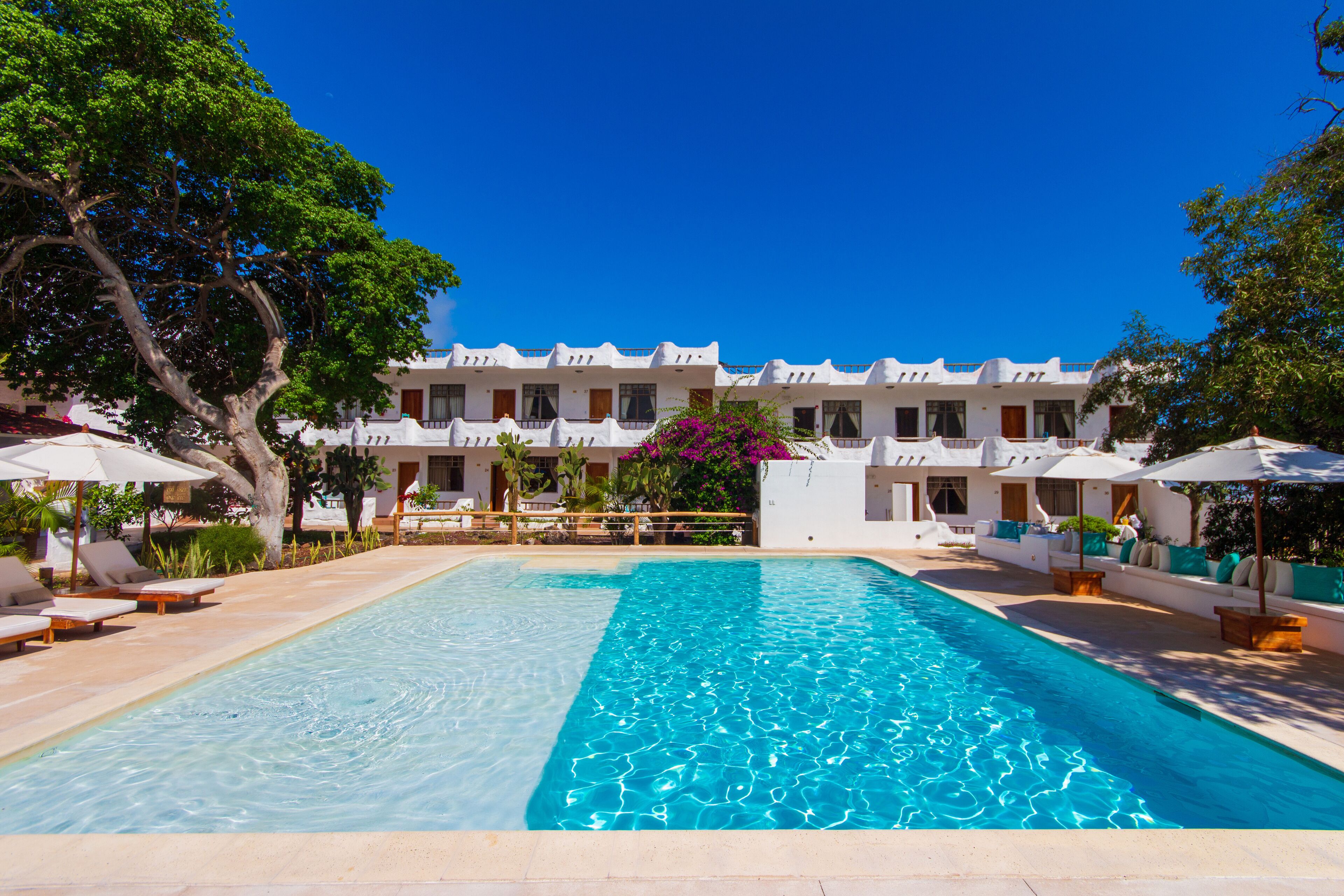 Hotel Fiesta in Puerto Ayora, Ecuador