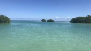 Private beach, white sand, scuba diving, kayaking