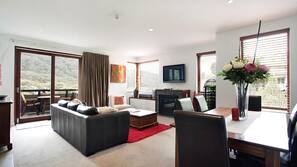 TV, fireplace, DVD player