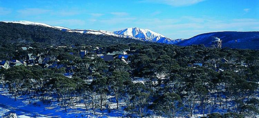 Currawong Lodge