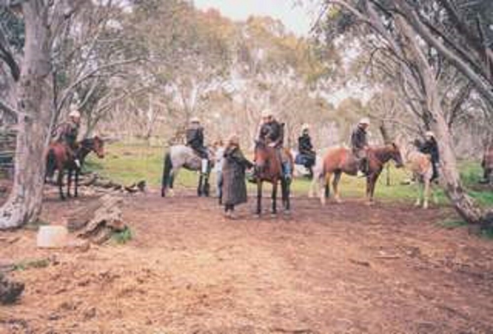 Currawong Lodge