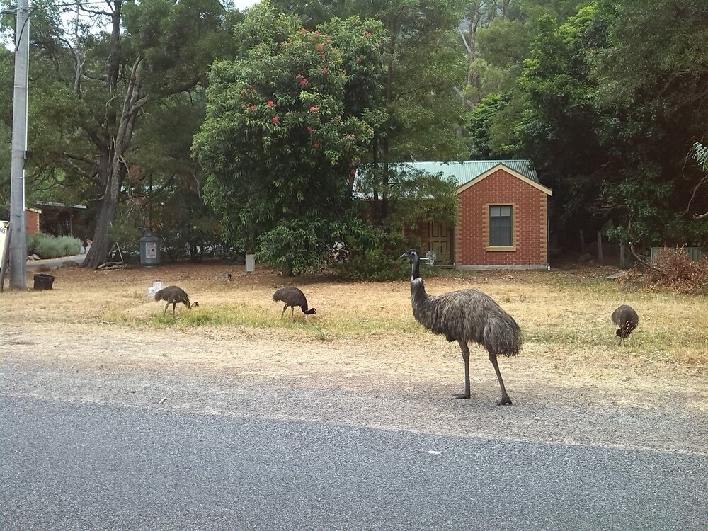 Heatherlie Cottages Halls Gap