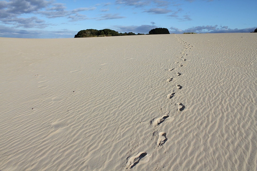 Strahan Wilderness Lodge