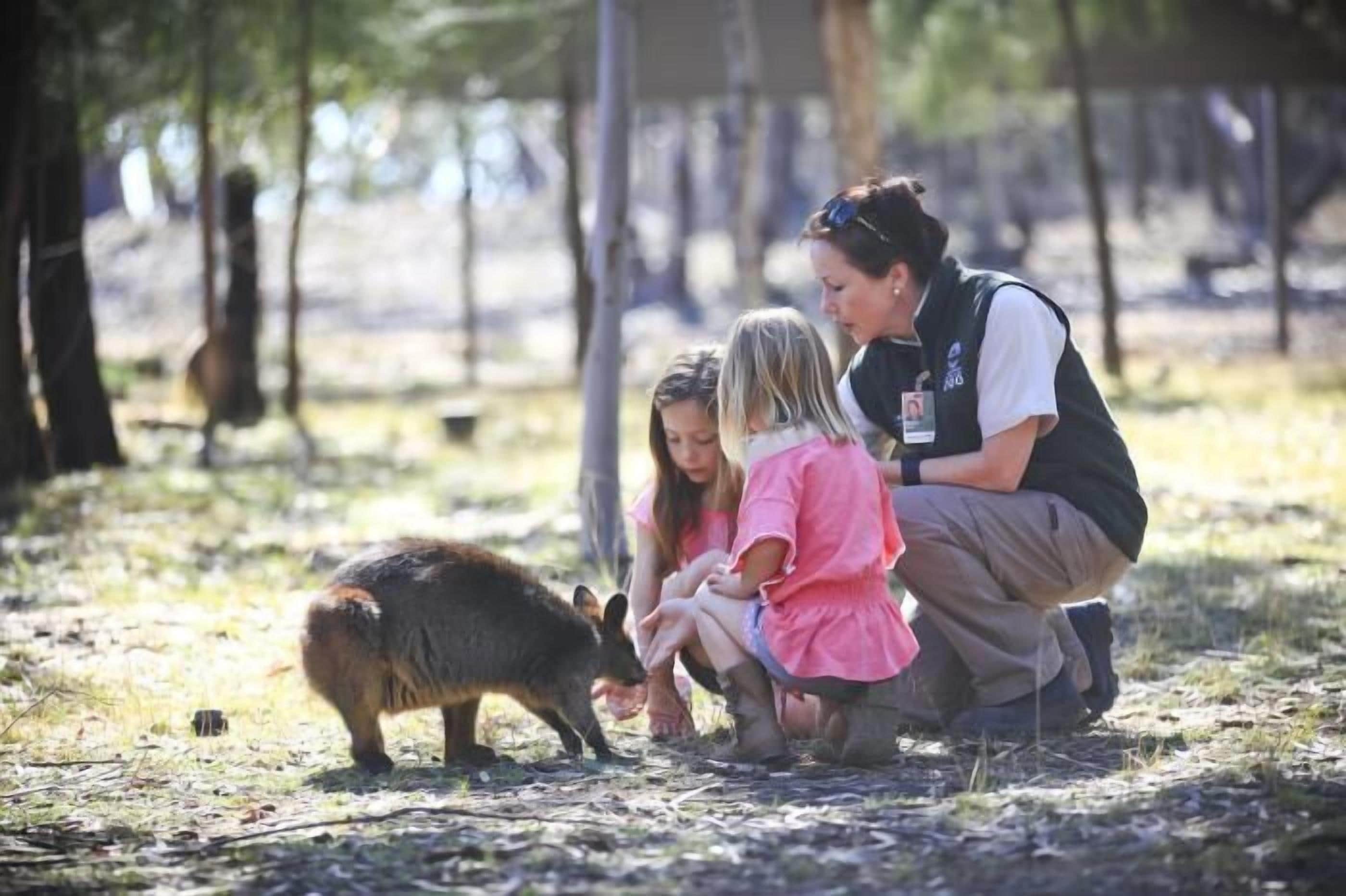 Billabong Camp at Taronga Western Plains
