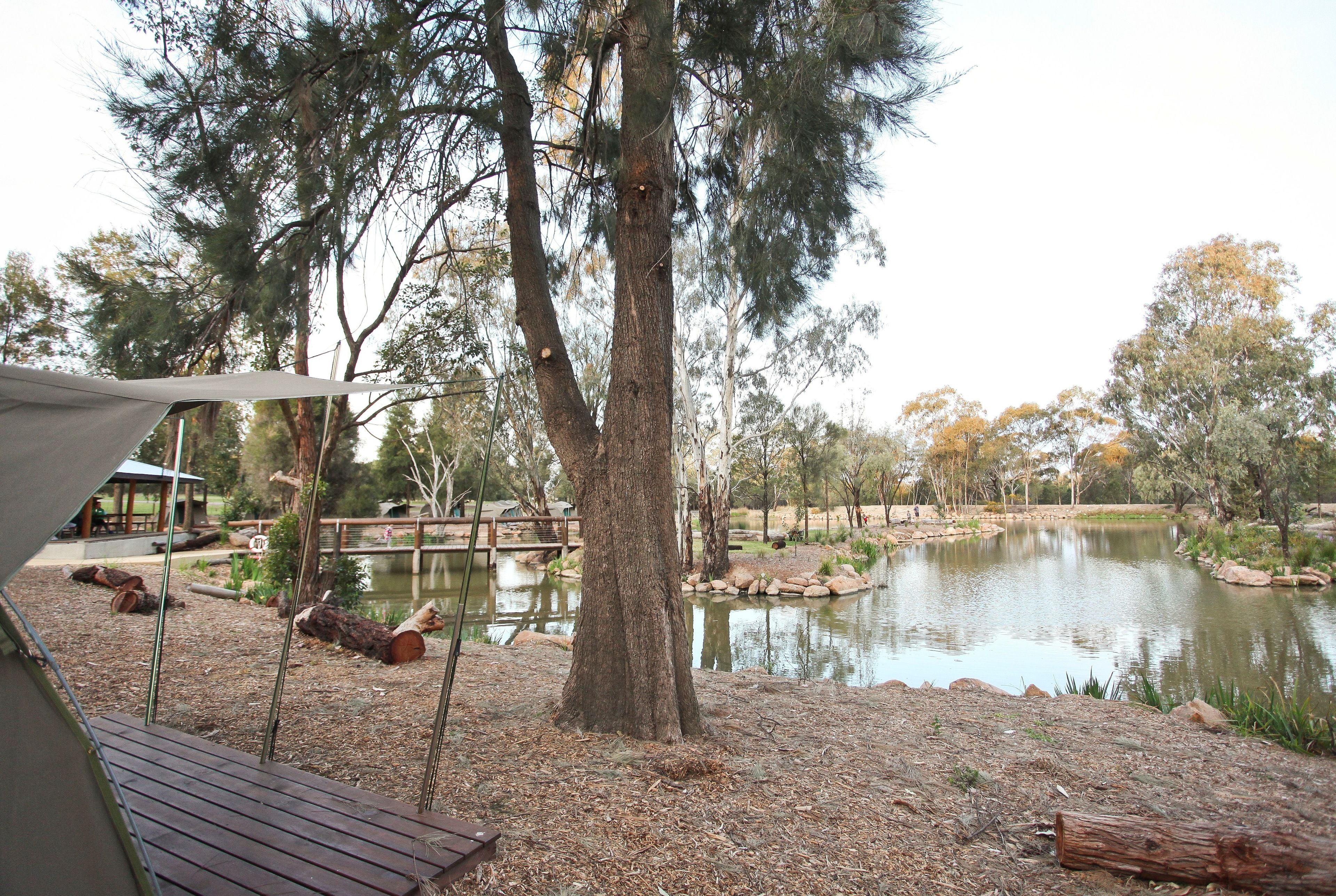 Billabong Camp at Taronga Western Plains