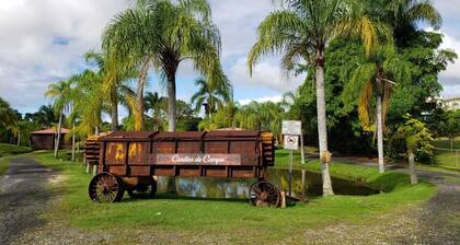 Hacienda El Jibarito
