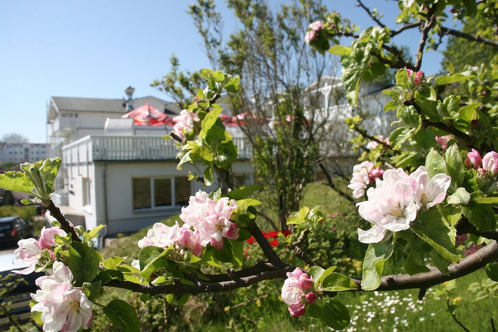 View from property, Koopmanns Hotel und Lädchen