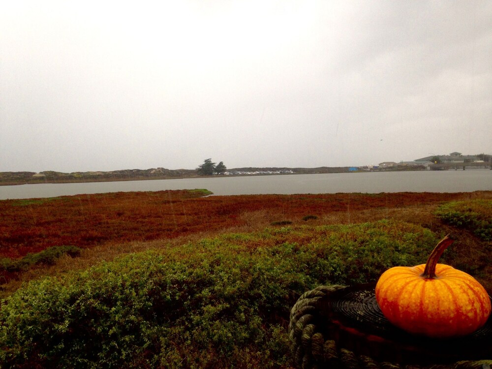 Captain's Inn at Moss Landing in Moss Landing Best Rates & Deals on